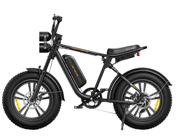 ENGWE M20