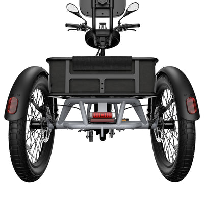 FAFREES F20 Mate 2 El-Trike