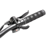 Eleglide M1 Plus 27.5'x18' 36V 13AH 250W