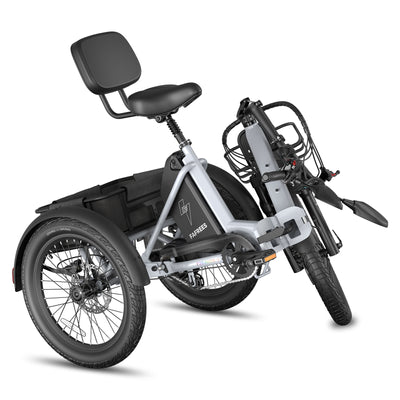 FAFREES F20 Mate 2 El-Trike