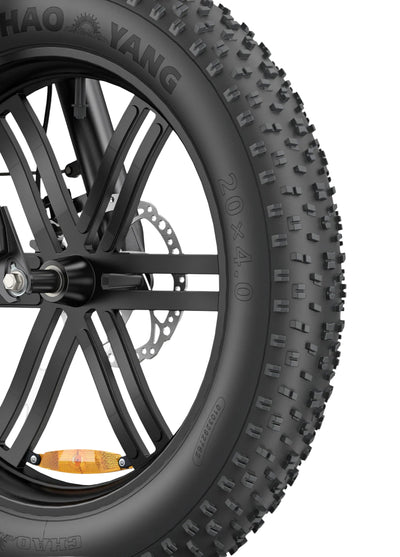 Engwe L20 Boost