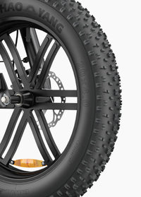 Engwe L20 Boost