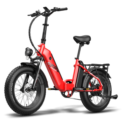 FAFREESE FF20