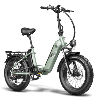 FAFREESE FF20