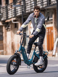 DYU FF500 – 20'' Fat Tire Elcykel