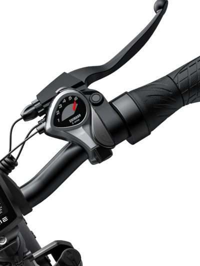 Engwe EP-2 Pro