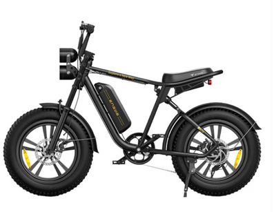 ENGWE M20