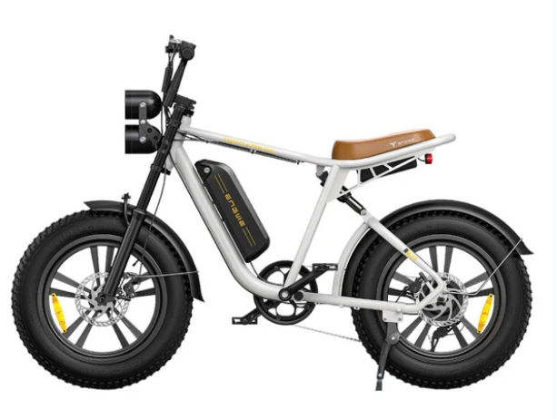 ENGWE M20