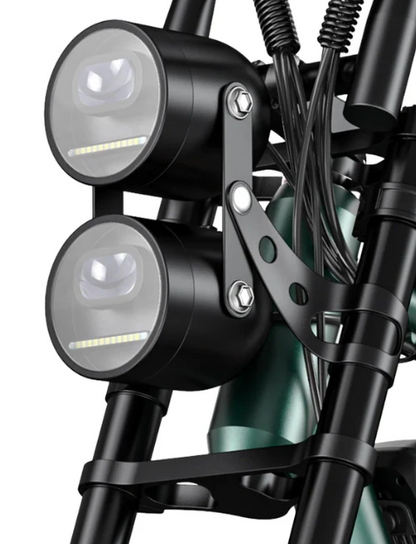 ENGWE M20 dobbelt batteri