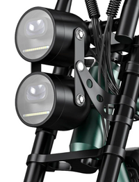 ENGWE M20 dobbelt batteri