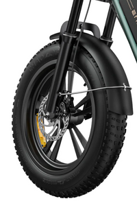 ENGWE M20 dobbelt batteri
