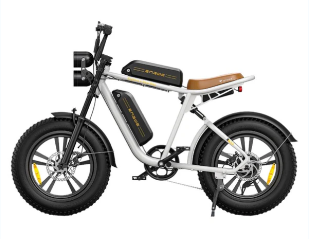 ENGWE M20 dobbelt batteri