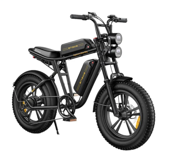 ENGWE M20 dobbelt batteri