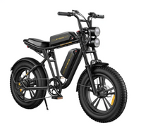 ENGWE M20 dobbelt batteri
