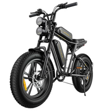ENGWE M20 dobbelt batteri