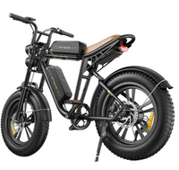 ENGWE M20 dobbelt batteri