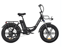 ENGWE L20