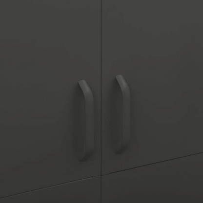 Anthracite stål skab