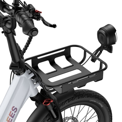 FAFREES F20 Mate 2 El-Trike