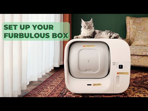 Furbulous Automatisk Kattebakke