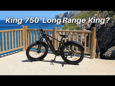 DYU King 750 lite – 26-Tommers Fat Tire Elcykel