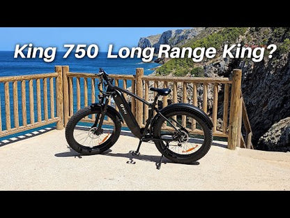 DYU King 750 lite – 26-Tommers Fat Tire Elcykel