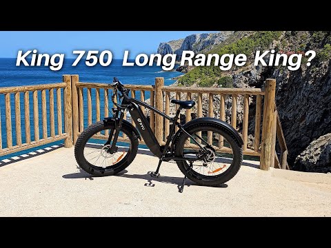 DYU King 750 lite – 26-Tommers Fat Tire Elcykel