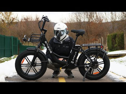 ENGWE L20